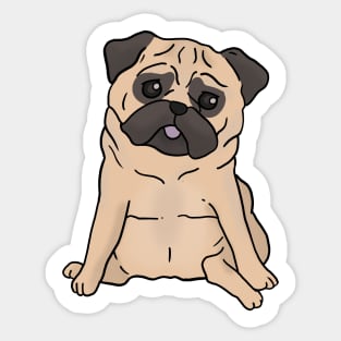 Cute pug dog hand drawn sitting with sad face Sticker